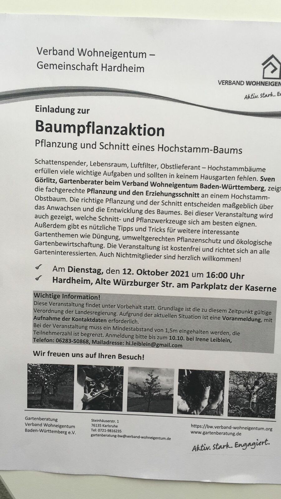 Jetzt ist Pflanzzeit-Hochstammbäumerichtig pflanzen und schneiden