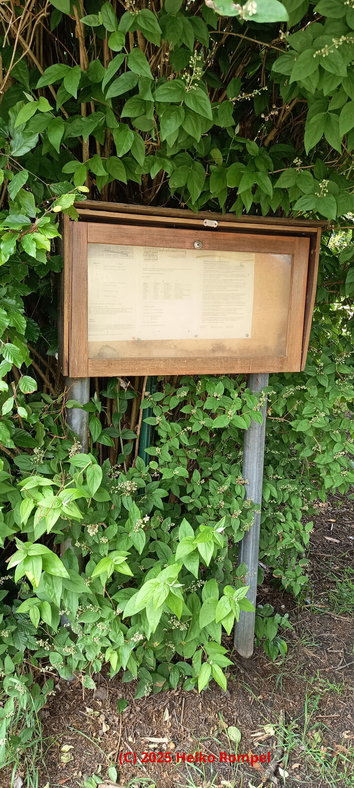 Schaukasten 