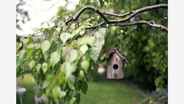 Themenbild: Garten Vogelhaus