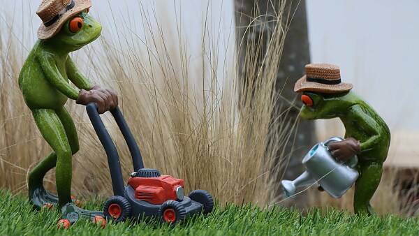 Themenbild: Garten-Service Themenbild: Garten-Service