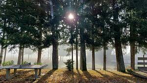 Herbst