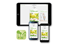 Online Ausgabe