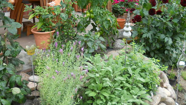 Themenbild: Garten Themenbild: Garten