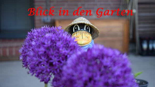 Themenbild: Garten Themenbild: Garten
