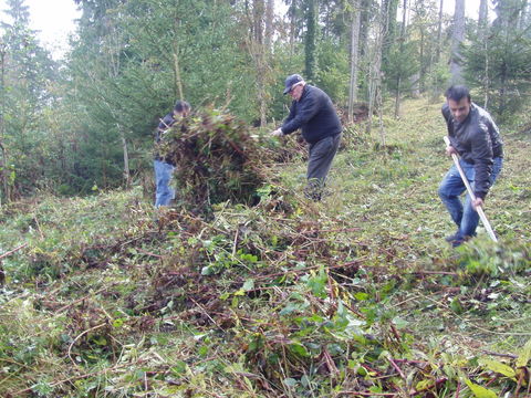 Naturschutzgruppe bei der Arbeit