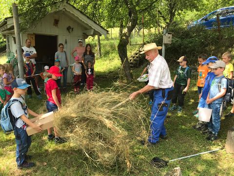 Streuobstwiese2019