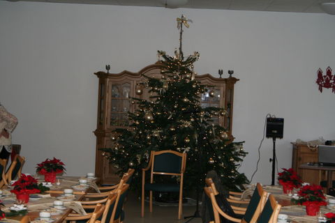 Weihnachtsbaum