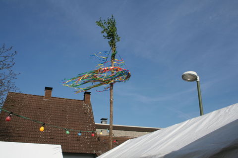 Maibaum