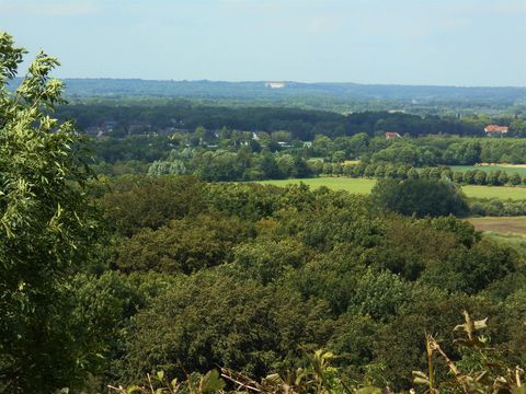 Ausblick