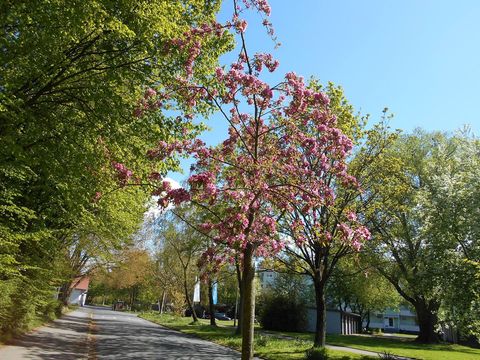 Siedlung