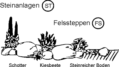 Quelle: Bund deutscher Staudengärtner (BdS)