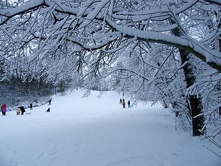 Rodelhügel im Winter