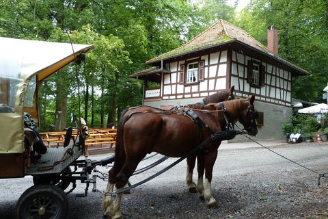 Wanderziel Hohe Warth