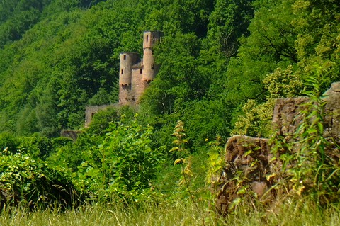 Wie ein Schwalbennest klebt Burg Schadeck am Berghang