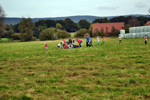 Drachenfest Kreisgruppe