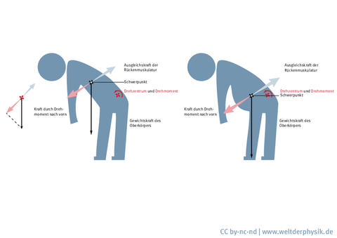 Kraftkompensation durch die Rückenmuskulatur