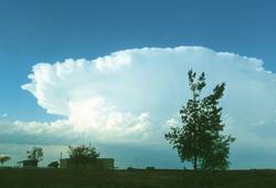 Das typische Aussehen einer Gewitterwolke