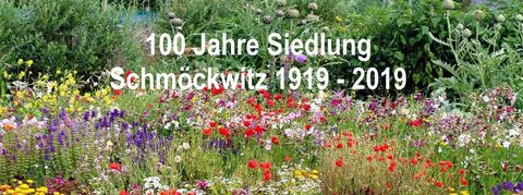 Blumenwiese für Siedlerfest