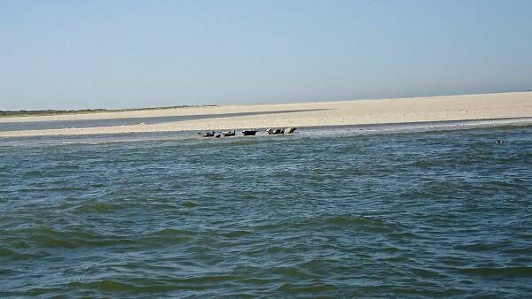 Themenbild: Meer und Strand