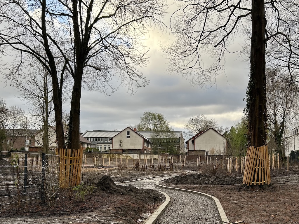 Tiny Forest in der Woche nach der Aktion