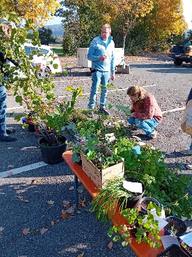 Alles geschenkte Pflanzen