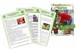 Monatszeitschrift Familienheim Und Garten Verband Wohneigentum E V