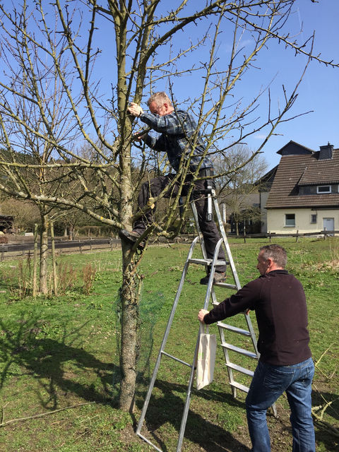 Gartenseminar