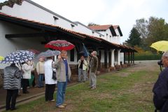 Siedler im Forum