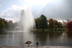 See im Rosengarten