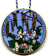 Plakette Sommertag 2007