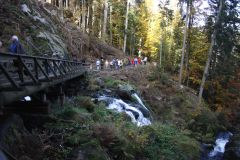 Bruecke an der Gutach
