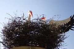 Das Storchennest