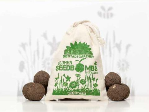 Seedbombs - Garten-Workshop