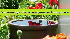 Wasser im Hausgarten