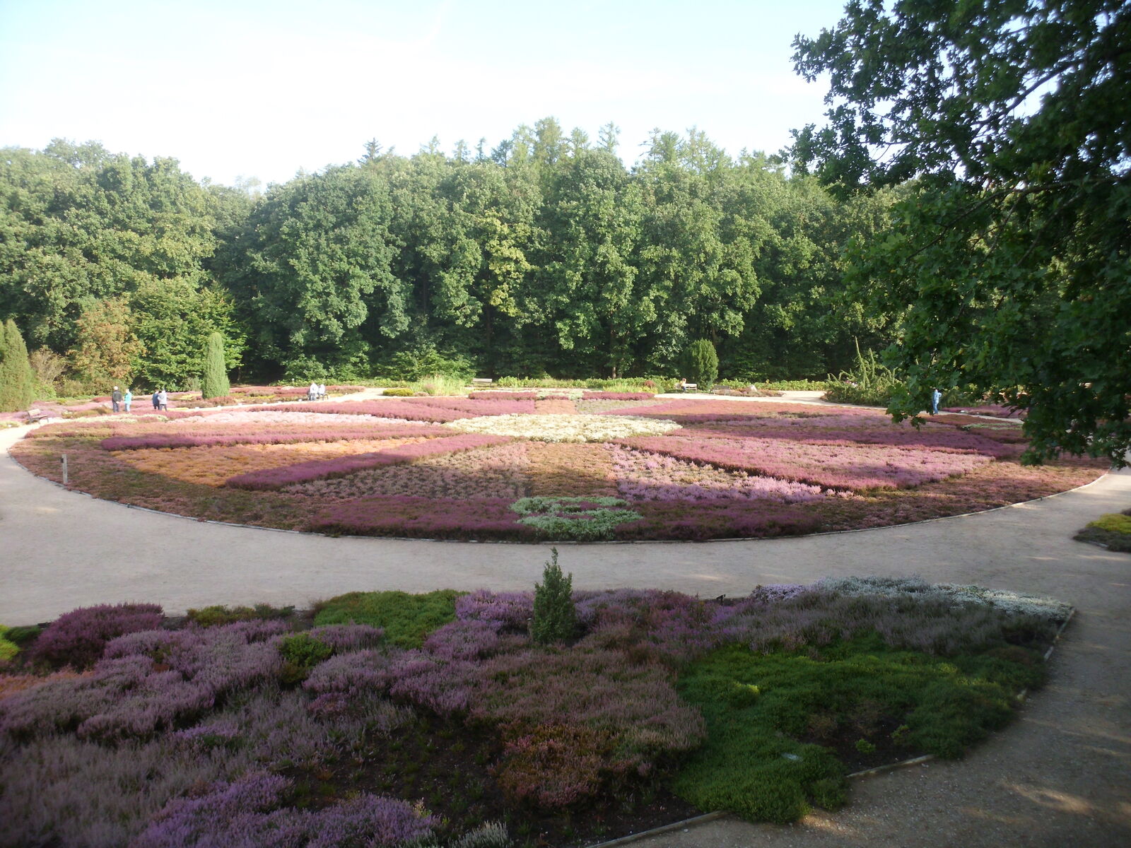 Im Heidegarten