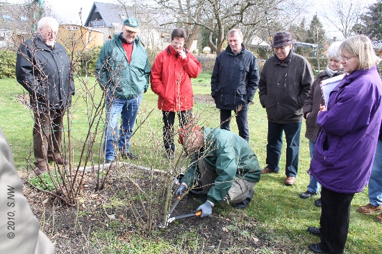 Gartenfachberatung 2010