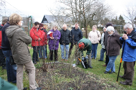 Gartenfachberatung 2010