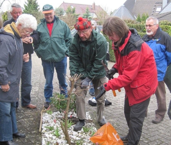 Gartenfachberatung 2010