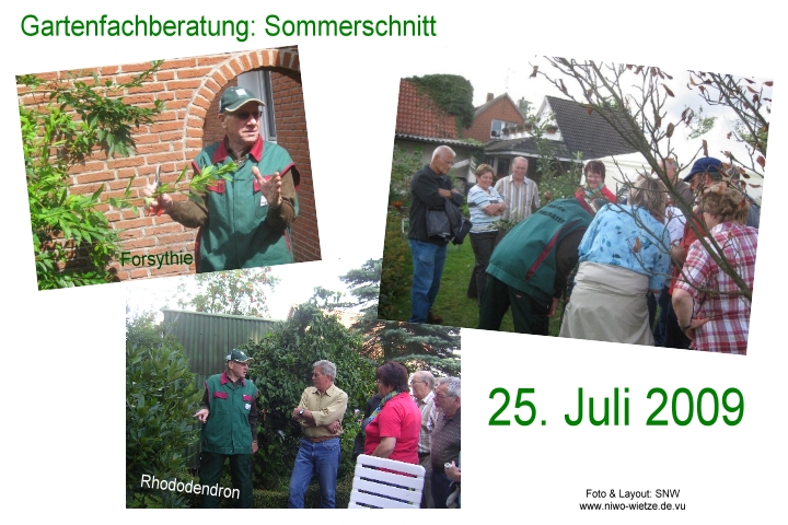 Gartenfachberatung: Sommerschnitt