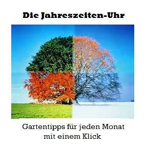 Themenbild: Gartentipps für jeden Monat