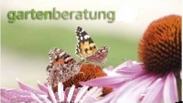 Themenbild: Gartenberatung