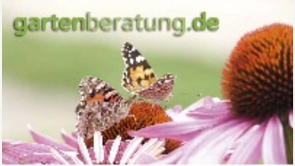 Themenbild: Gartenberatung im Internet