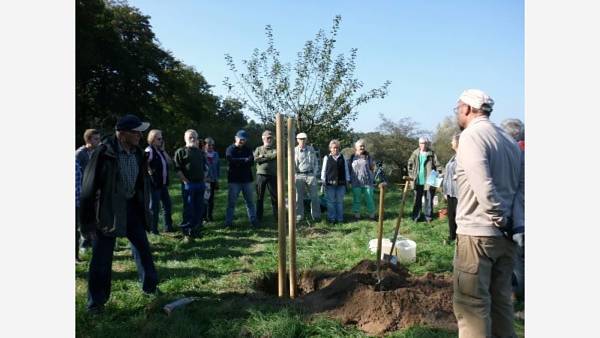 Themenbild: Gartenberatung in der Kreisgruppe