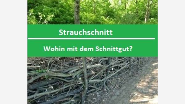 Themenbild: Strauchschnitt