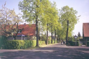 Buchsbaumstraße / Ecke Tollerstraße