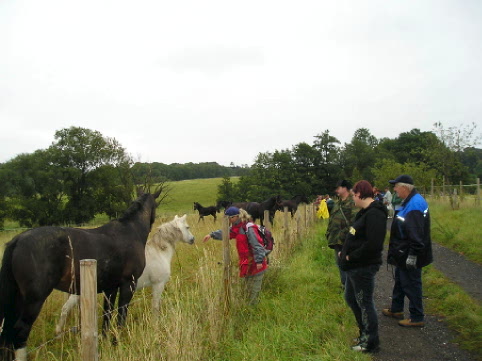 Wanderung nach Maxen