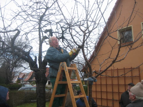 Schulung Obstbaumschnitt am 1. März 2008