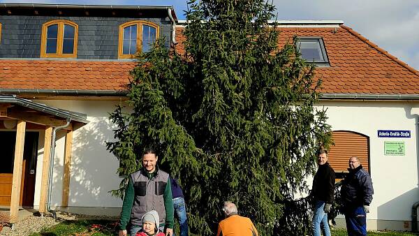 Themenbild: unser Weihnachtsbaum 2025