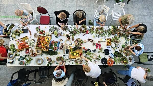 Themenbild: Abschluss 2025