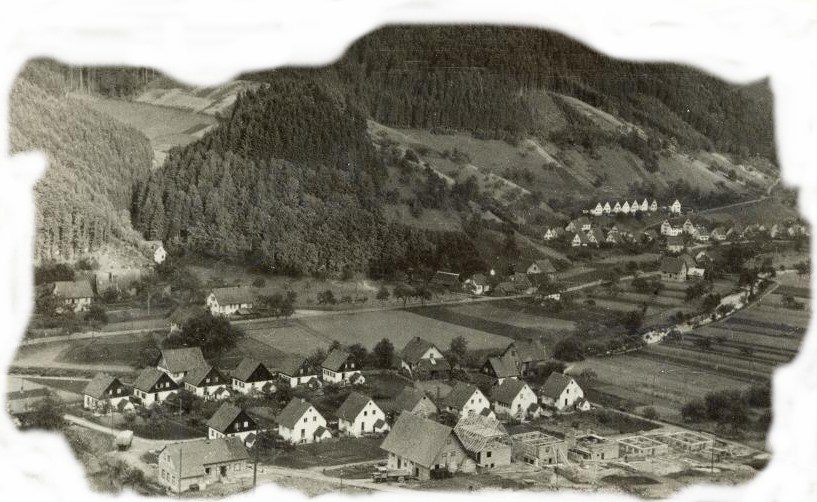 Blick auf die Siedlung in Oberwolfach und im Hintergrund die Weihmatte